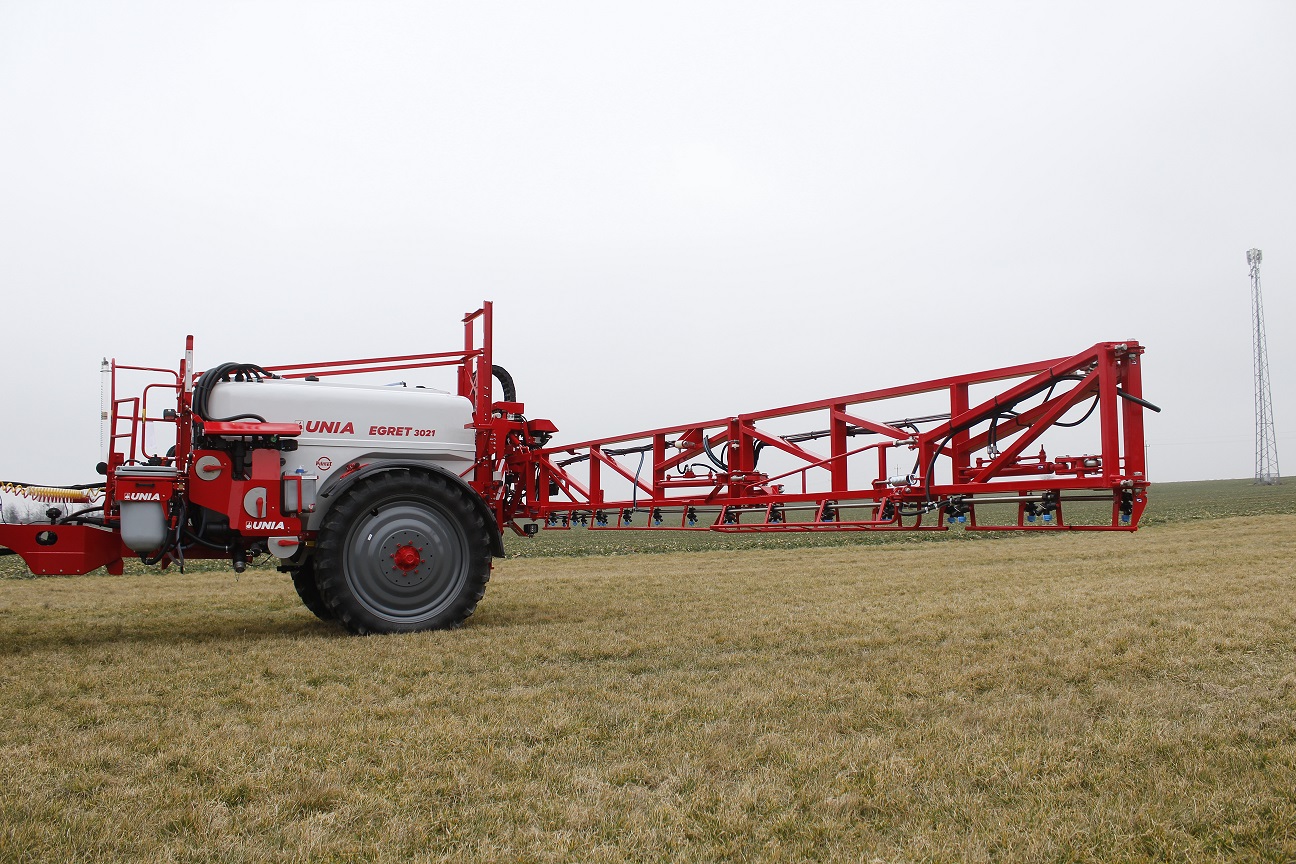 Belka niezależna.JPG