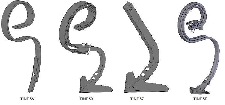 cztery rodzaje zębów